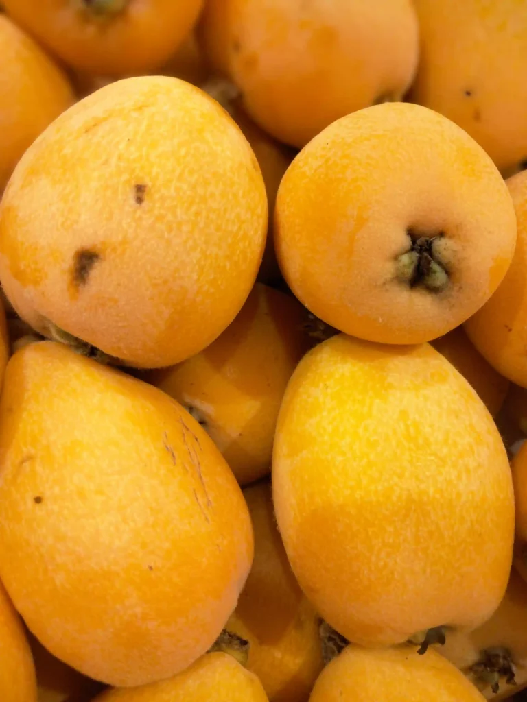 fruita de temporada al mercat del guinardo