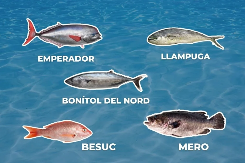 5 pescados que no puedes perderte este septiembre