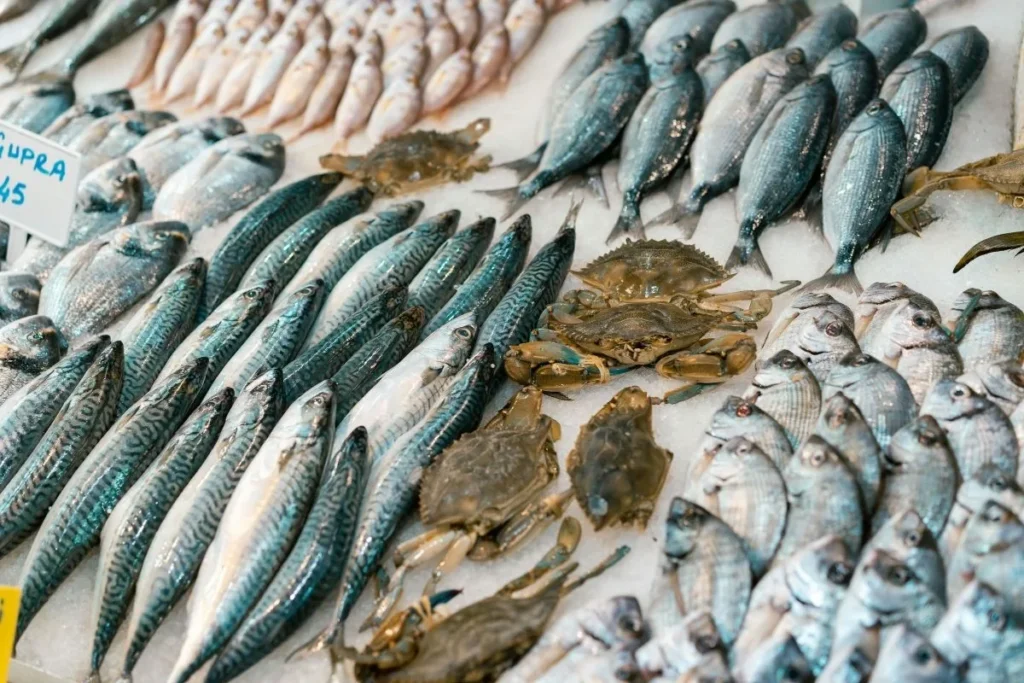 5 peixos que no et pots perdre aquest setembre